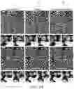 Fig. 36 - Systems and methods for deep learning microscopy