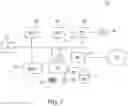 Fig. 08 - ENHANCED AUTOMATIC COSMETIC GRADING