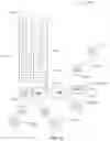 Fig. 63 - ENHANCED AUTOMATIC COSMETIC GRADING