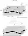 Fig. 07 - Brain lesion information provision device and method