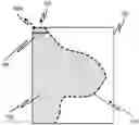 Fig. 01 - Systems and methods for image cropping and anatomical structure segmentation in medical imaging