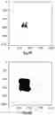 Fig. 08 - Method of and microscope comprising a device for detecting movements of a sample with respect to an objective
