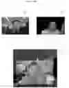 Fig. 21 - Camera device and electronic device including the same