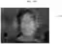 Fig. 31 - Camera device and electronic device including the same