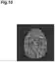Fig. 11 - Image processing device and image processing method