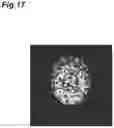 Fig. 18 - Image processing device and image processing method