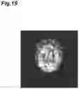 Fig. 20 - Image processing device and image processing method