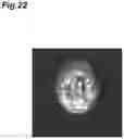 Fig. 23 - Image processing device and image processing method