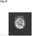 Fig. 24 - Image processing device and image processing method
