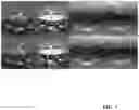 Fig. 08 - Image representation of a scene