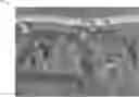 Fig. 01 - Spatial partitioning for graphics rendering