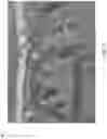 Fig. 04 - Spatial partitioning for graphics rendering