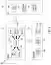 Fig. 07 - Fast hand meshing for dynamic occlusion