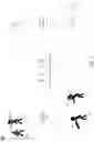 Fig. 02 - AUGMENTED REALITY MEDICAL DIAGNOSTIC PROJECTION