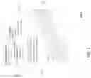 Fig. 03 - AUGMENTED REALITY MEDICAL DIAGNOSTIC PROJECTION