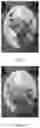 Fig. 04 - MODEL OBTAINING METHOD AND APPARATUS, AND OBJECT PREDETERMINING METHOD AND APPARATUS