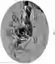 Fig. 12 - Stereoscopic camera system for geo-registration of 3D reconstructed points and vectors