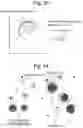 Fig. 25 - Forest resource information generation structure and forest resource information generation method