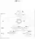 Fig. 18 - CELL TRACKING METHOD, IMAGE PROCESSING DEVICE, AND PROGRAM