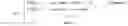 Fig. 03 - Method, apparatus, device, storage medium and program product of performing text matching