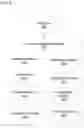 Fig. 07 - Facial action unit detection