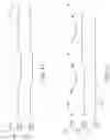 Fig. 10 - Visible light communication system and method