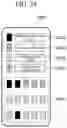 Fig. 24 - Image capturing apparatus of vehicle, server, user terminal apparatus and method for providing parking lot guidance service using them