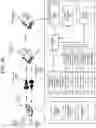 Fig. 03 - SPEECH-PROCESSING SYSTEM