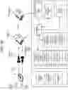 Fig. 04 - SPEECH-PROCESSING SYSTEM