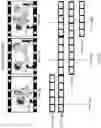 Fig. 04 - Video manipulation with face replacement