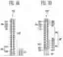 Fig. 09 - Semiconductor memory device