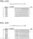 Fig. 30 - NON-TRANSITORY COMPUTER-READABLE STORAGE MEDIUM, STRUCTURE SEARCH DEVICE, AND STRUCTURE SEARCH METHOD