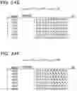 Fig. 31 - NON-TRANSITORY COMPUTER-READABLE STORAGE MEDIUM, STRUCTURE SEARCH DEVICE, AND STRUCTURE SEARCH METHOD