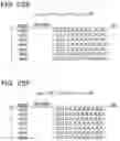 Fig. 34 - NON-TRANSITORY COMPUTER-READABLE STORAGE MEDIUM, STRUCTURE SEARCH DEVICE, AND STRUCTURE SEARCH METHOD