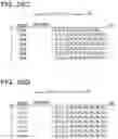 Fig. 36 - NON-TRANSITORY COMPUTER-READABLE STORAGE MEDIUM, STRUCTURE SEARCH DEVICE, AND STRUCTURE SEARCH METHOD