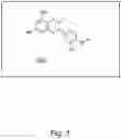 Fig. 04 - ALTERING PROTEIN-LIGAND STRUCTURE ACCORDING TO PROTEIN-LIGAND BINDING AFFINITY