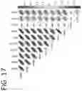 Fig. 27 - Diagnostic and therapeutic methods for cancer