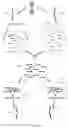 Fig. 24 - SYSTEMS AND METHODS FOR NUCLEIC ACID SEQUENCE ASSEMBLY