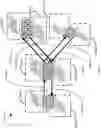 Fig. 25 - SYSTEMS AND METHODS FOR NUCLEIC ACID SEQUENCE ASSEMBLY