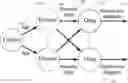 Fig. 01 - Method and system for assessing drug efficacy using multiple graph kernel fusion