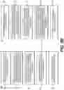 Fig. 06 - Systems and methods for processing digital images for radiation therapy