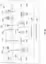 Fig. 16 - DYNAMIC, PROBABLISTIC ASSIGNMENT OF SPECIALIZED RESOURCES