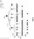 Fig. 10 - Machine Learning Systems and Methods for Assessing Medical Interventions for Utilization Review