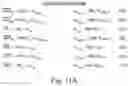Fig. 25 - Systems and Methods for determining the Contribution of a Given Measurement to a Patient State Determination