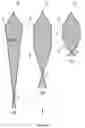 Fig. 11 - Apparatus of charged-particle beam such as electron microscope comprising plasma generator, and method thereof