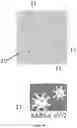 Fig. 21 - Apparatus of charged-particle beam such as electron microscope comprising plasma generator, and method thereof