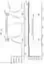 Fig. 16 - Mass spectrum processing apparatus and method