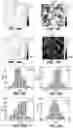 Fig. 16 - Methods and devices for graphene formation on flexible substrates by plasma-enhanced chemical vapor deposition