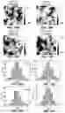 Fig. 17 - Methods and devices for graphene formation on flexible substrates by plasma-enhanced chemical vapor deposition