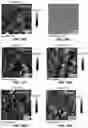 Fig. 24 - Methods and devices for graphene formation on flexible substrates by plasma-enhanced chemical vapor deposition